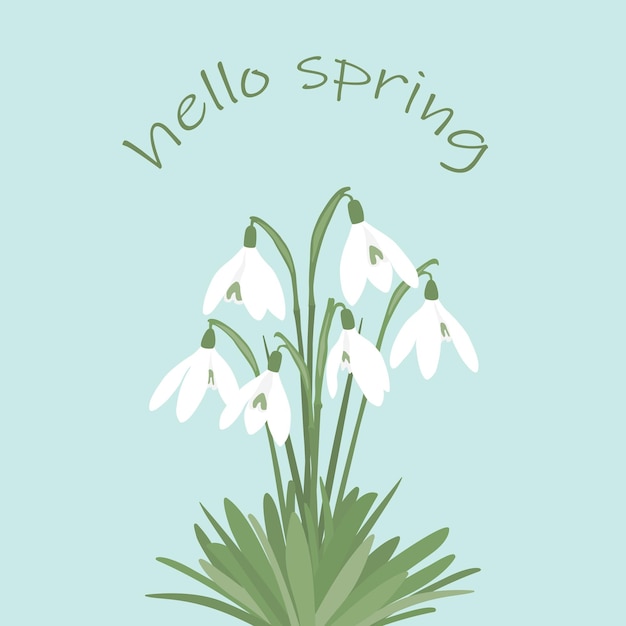 greeting card with snowdrop flowers vector illustration of spring flowers