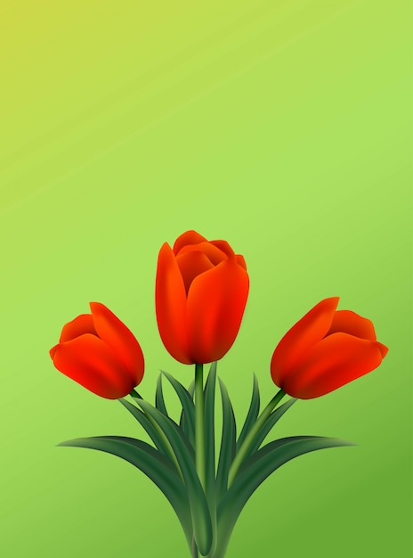 Greeting card with tulips flowers on green background