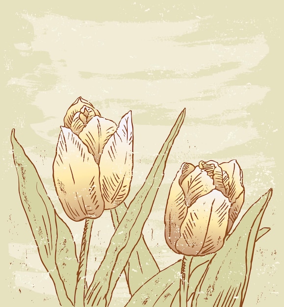 Greeting card with two drawn tulips