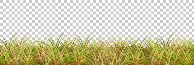 Grens van het herfstgras