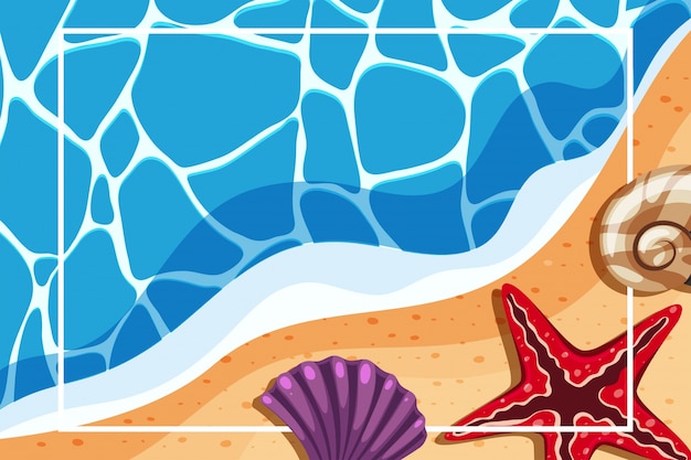 Grensmalplaatje met shells op het strand