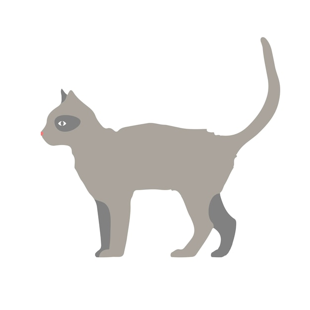 Grey cat flat vector illustration of a gray walking cat