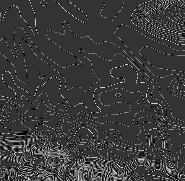 Vector grey contours vector topography geographic mountain topography vector illustration topographic pattern texture map on land vector terrain elevation graphic contour height lines