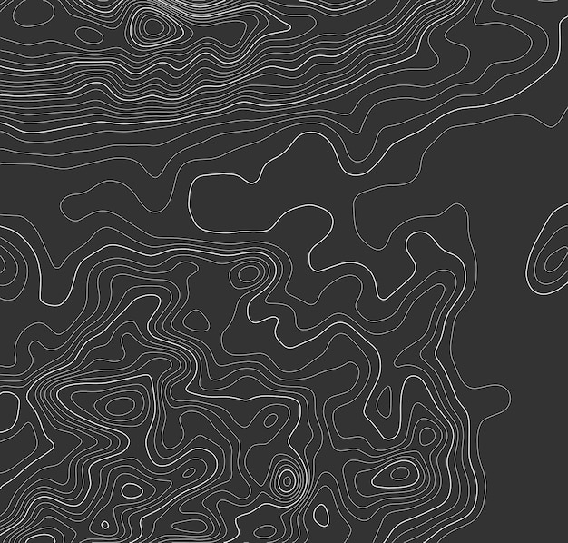Серые контуры векторная топография географическая горная топография векторная иллюстрация топографическая текстура рисунка карта на суше векторная местность графические контурные высотные линии