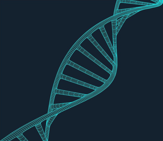 파란색 배경에 다각형 선이 있는 회색 DNA 연결 점과 선이 있는 다각형 공간 낮은 폴리 연결 구조 벡터 과학 배경