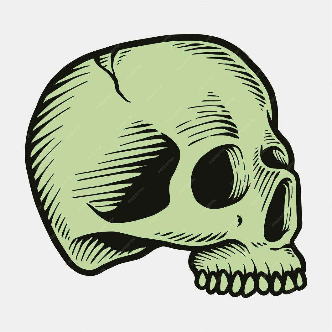 Premium Vector | Grey engraving style vintage human skull anatomy