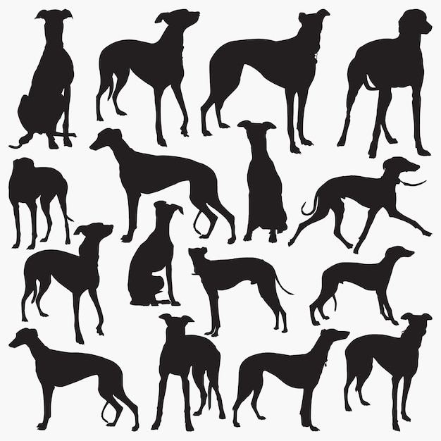 Vector grey hound silhouettes