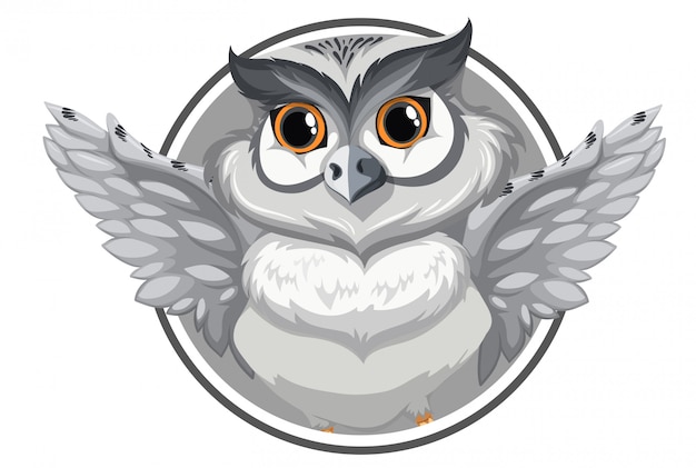 A grey owl banner