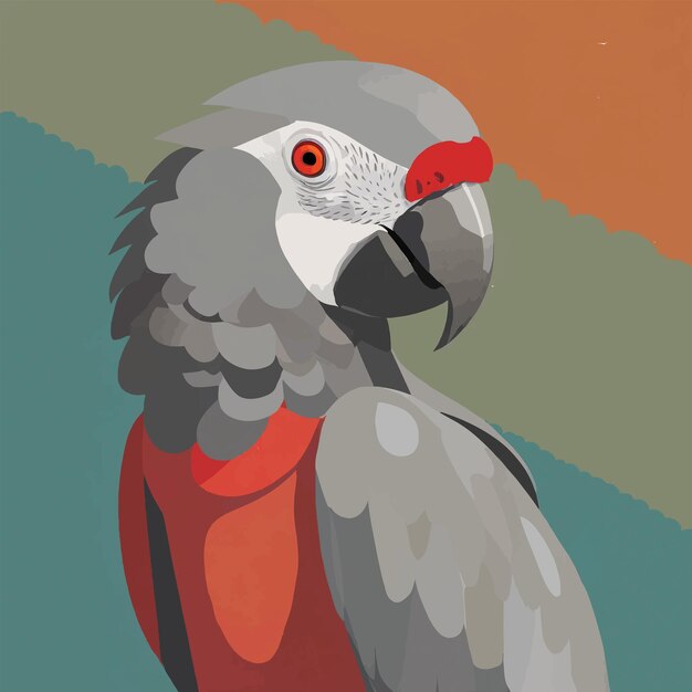 Vector grey parrot