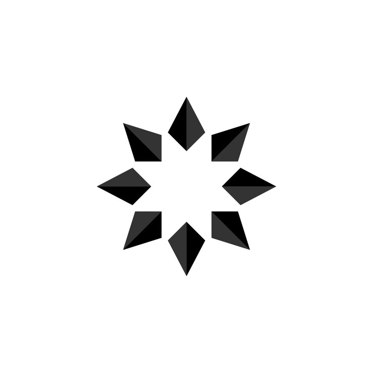 Vector grey star logo template illustration design vector eps 10