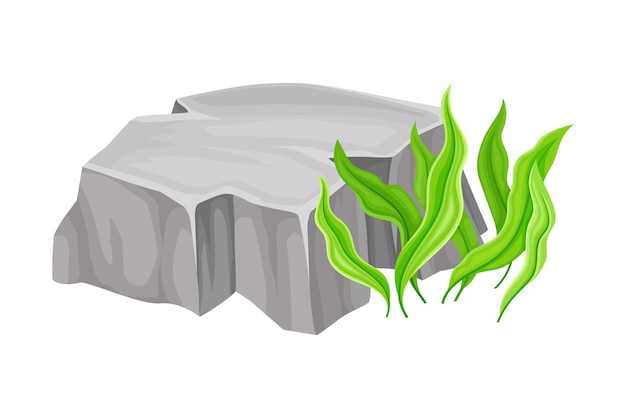 Grey Stone or Cobble with Green Grass Blades as Forest Element Vector Illustration