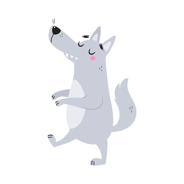 Grey Wolf Character with Pointed Muzzle Walking Vector Illustration