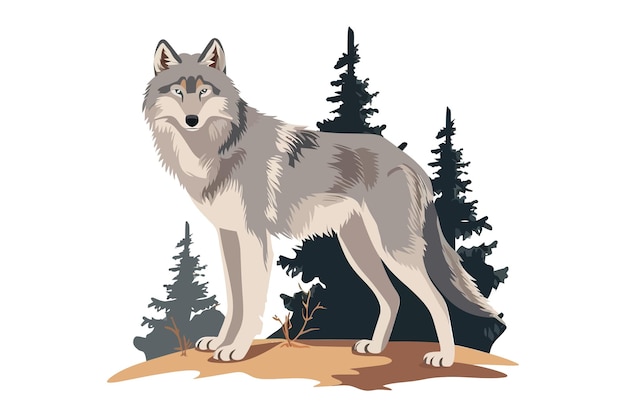 Vector grey wolf wild forest canine animal flat vector illustration isolated on white background