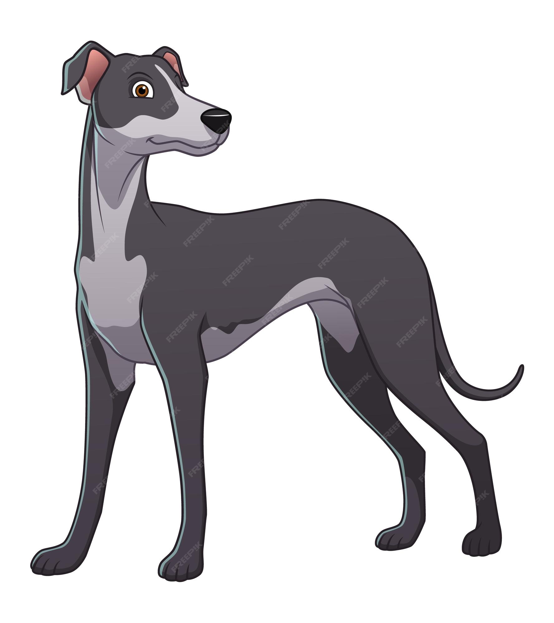Premium Vector | Greyhound dog cartoon animal illustration Premium Vector | Greyhound dog cartoon animal illustration
