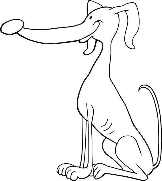 greyhound dog cartoon for coloring book