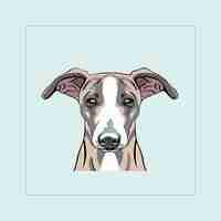 Vector greyhound dog head illustration vector