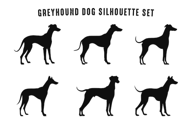 Greyhound honden silhouet vector instellen zwarte silhouetten van hondenras clipart