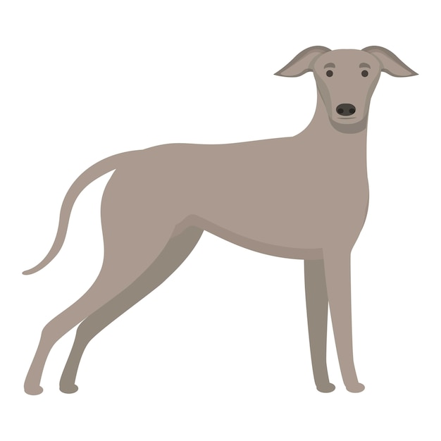 Vector greyhound icon cartoon vector animal run canine race