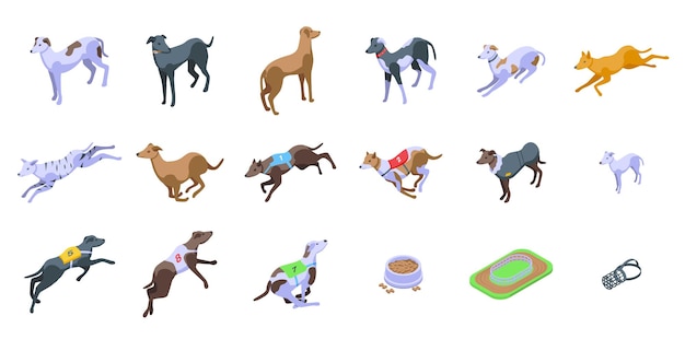 Greyhound icons set isometric vector whippet animal