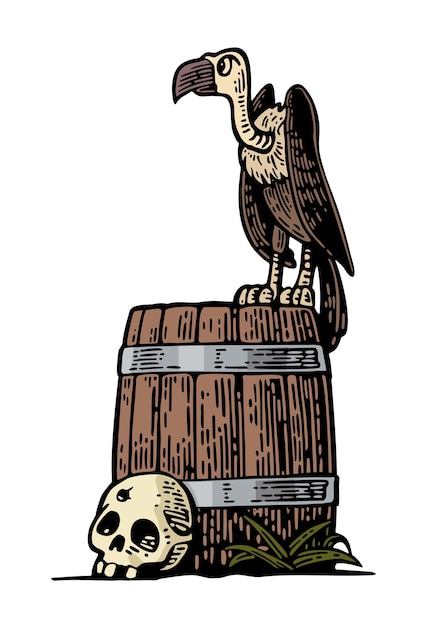 Griffin sitting on barrel with skull. vector color hand drawn vintage engraving