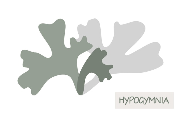 Vector grijs korstmos hypogymnia logo icoon