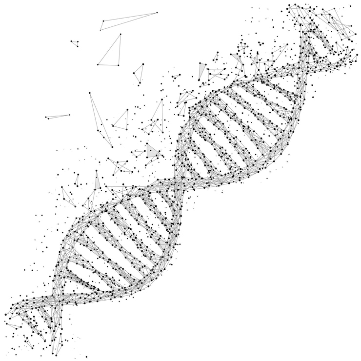 Vector grijze dna met veelhoeklijn op zwarte abstracte achtergrond veelhoekige ruimte laag poly wetenschapskunst