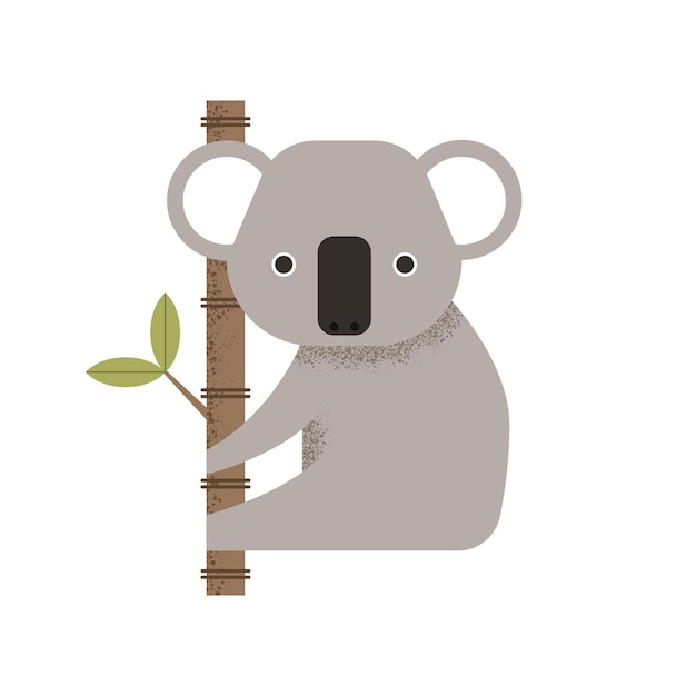 Grijze koala zit op een boom met een tak. Platte stijl pluizig wild dier in geometrische vorm