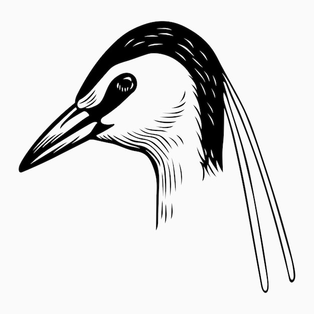 Vector grijze reiger