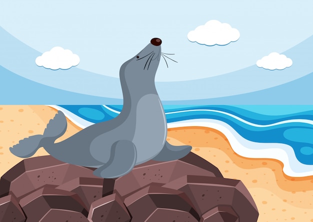 Vector grijze zeehond op de steen