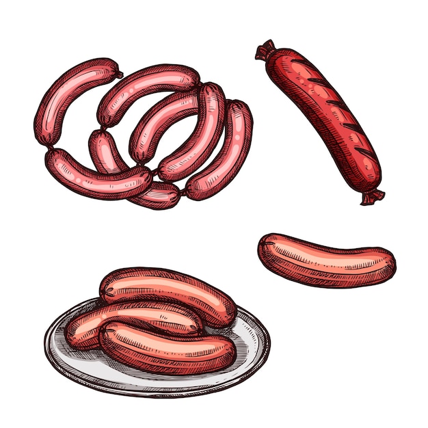 Vector grilled meat sausage and frankfurter sketch