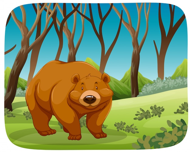 Un orso grizzly nella foresta