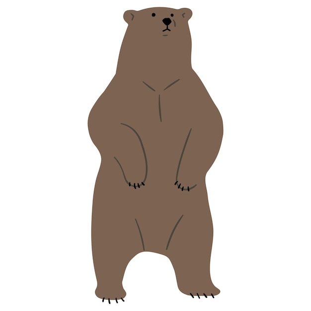 Orso grizzly singolo 8