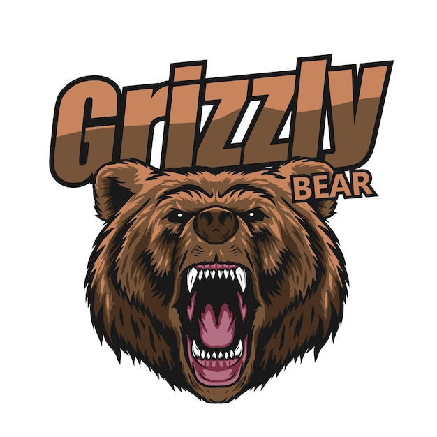 Vector grizzly bear vector