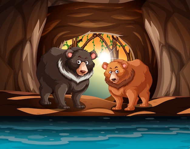 Vettore orsi grizzly che vivono nella grotta
