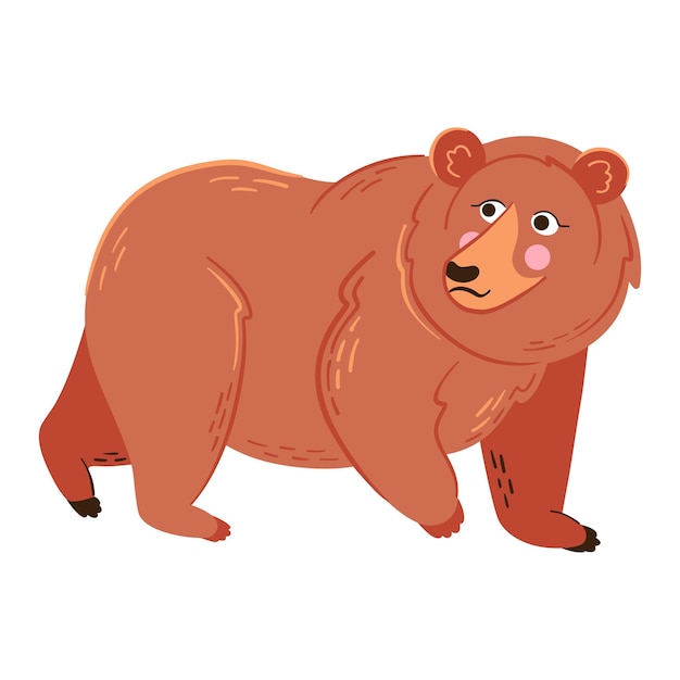 Grizzly beer vectorillustratie bos wild dier geïsoleerd op wit