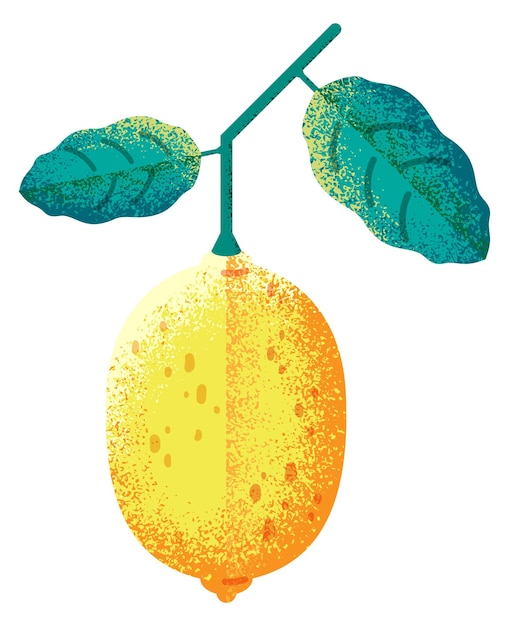 Groeiende citroen Getextureerde fruittekening Trendy icoon