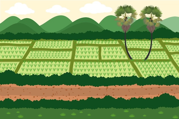 Vector groen aardlandschap met het padieveld van de padiejasmijn in thailand