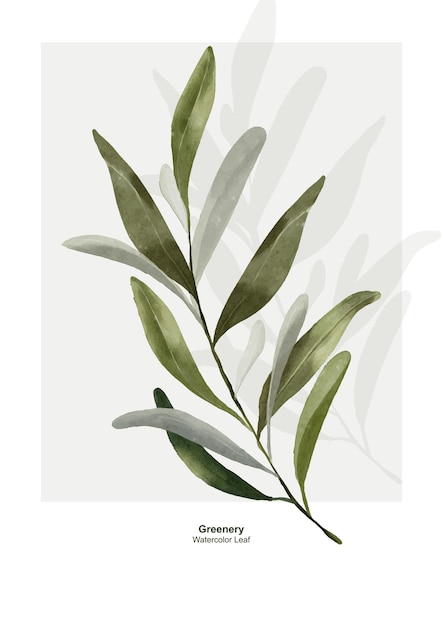 Groen blad aquarel vector ontwerp