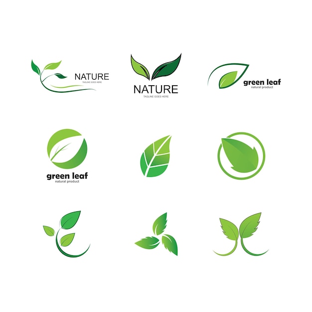 Groen blad ecologie natuur element vector icon