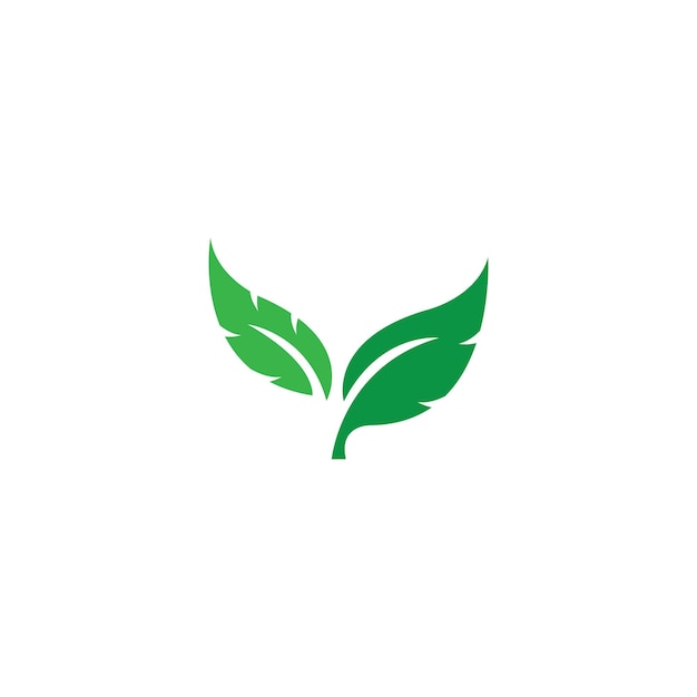 Groen blad ecologie natuur element