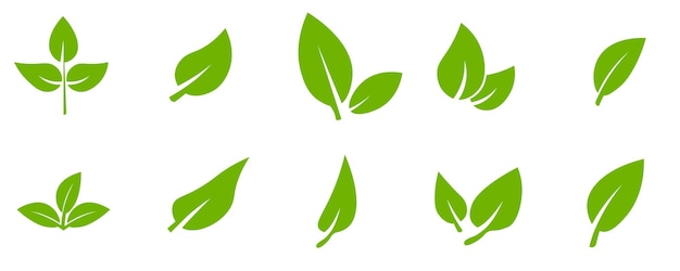 Groen blad icon set Vector illustratie geïsoleerd op een witte achtergrond
