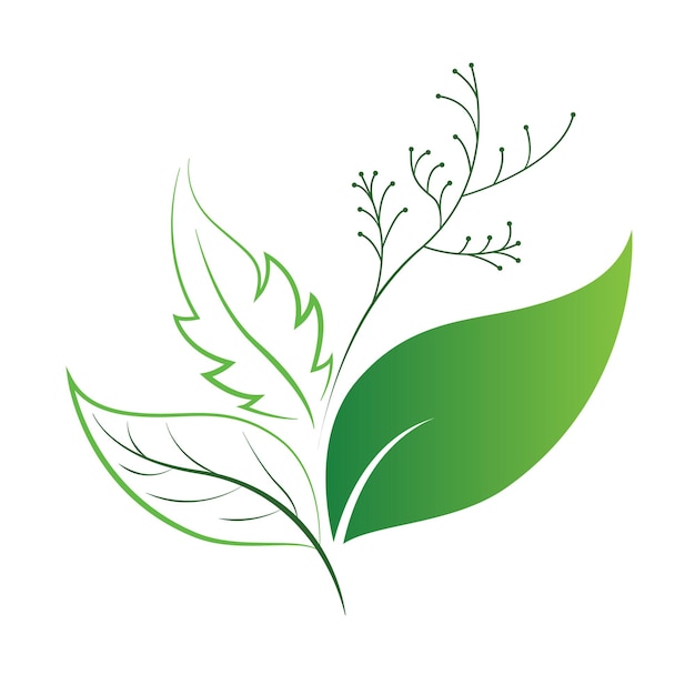 Groen blad logo ontwerp