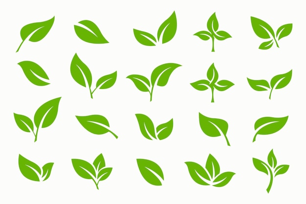 Groen blad pictogram en logo vector set organische zakelijke sjabloon tekens en symbool