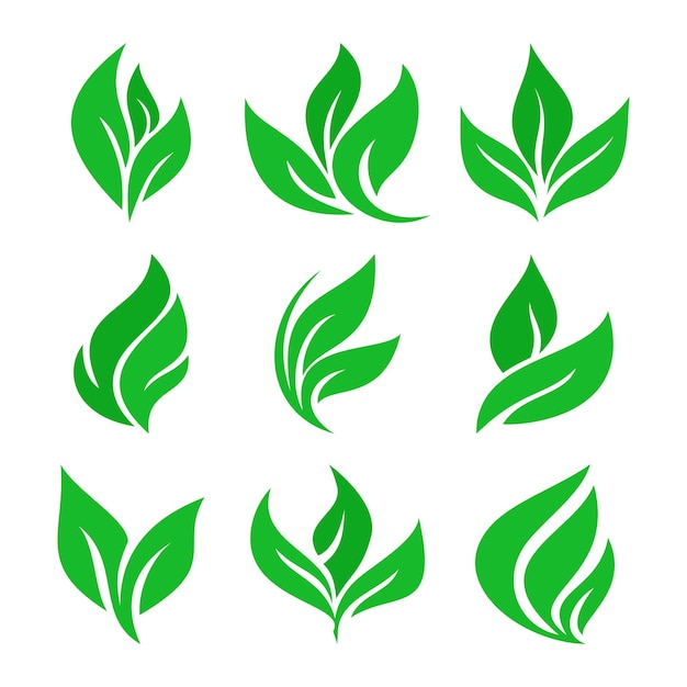 Groen blad pictogram set vector