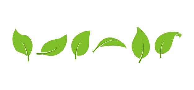 Groen blad pictogram vector biologische eco plant set verschillende vormen natuur illustratie