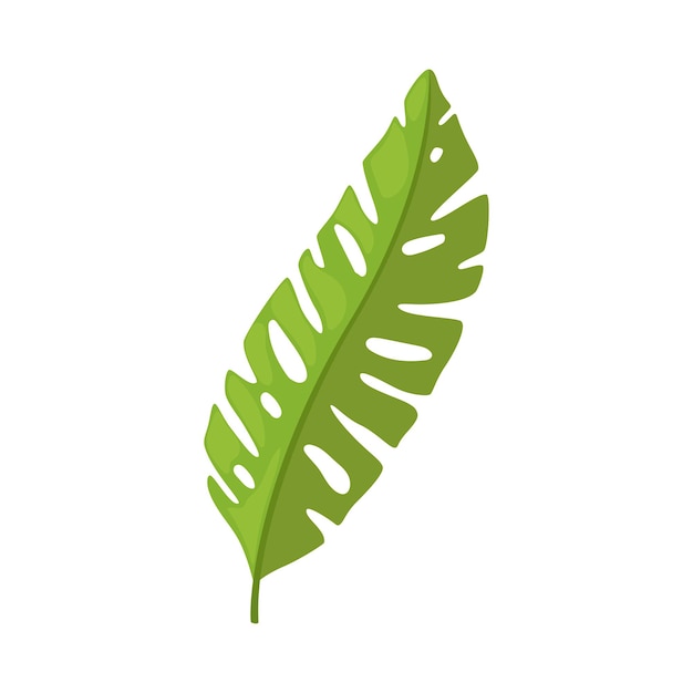 Groen blad van palmbomen tropische exotische planten decoratieve element vector illustratie