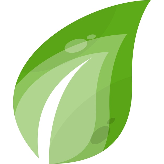 Vector groen blad vector logo