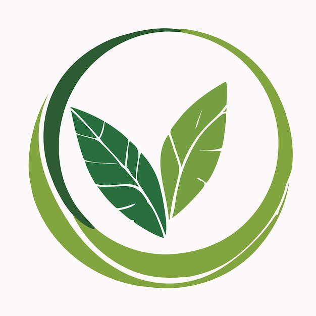 Groen eco-loopblad op een witte achtergrond