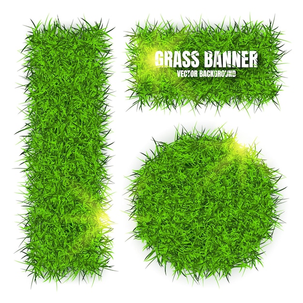 Groen gras banners achtergrond veld weide textuur graslandschap biologisch bio eco en natuurlijk