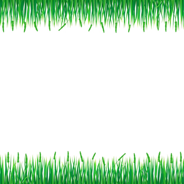 Groen gras concept achtergrond realistische afbeelding van groen gras vector concept achtergrond voor webdesign